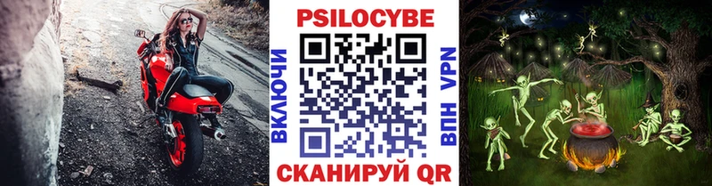 Псилоцибиновые грибы MAGIC MUSHROOMS  Трубчевск 